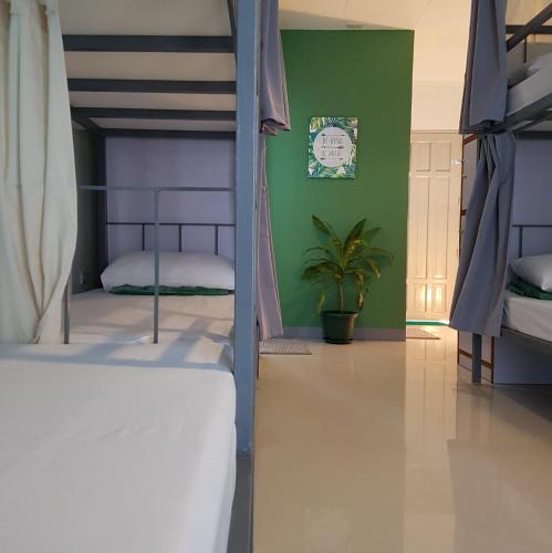 a bedroom with two bunk beds and a plant at Green Turtle Backpackers Guesthouse, Puerto Princesa in Puerto Princesa City