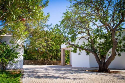 a tree in front of a white building at Villa Vanessa in Leuca