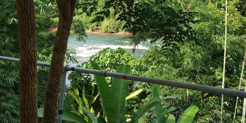 a view of a river from a bridge at Baandin Chiewlarn in Ban Ta Khun