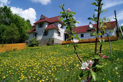 a house on a hill with a field of flowers at Rakhiv Plai in Rakhiv