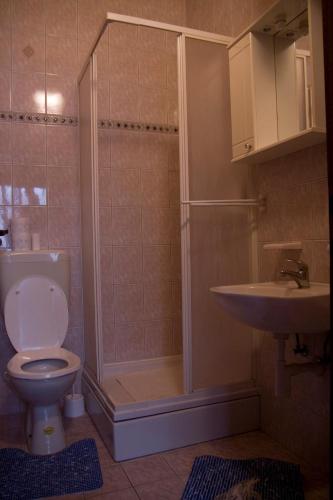 łazienka z prysznicem, toaletą i umywalką w obiekcie Apartments Klanac w mieście Osijek