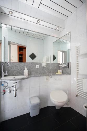 a bathroom with a toilet and a sink and a mirror at Badhotel Restaurant Stauferland in Bad Boll