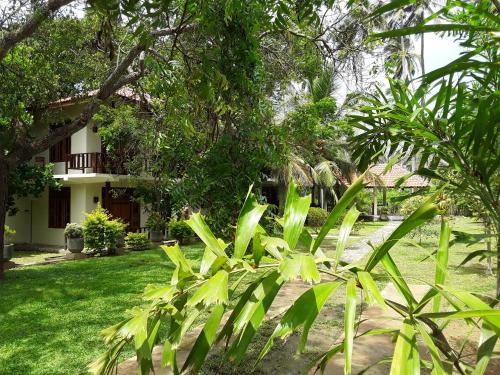 a view of a house from the garden at Green turtle in Tangalle