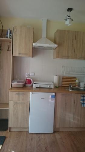 Dapur atau dapur kecil di pokoje wypoczynkowe "Róża"
