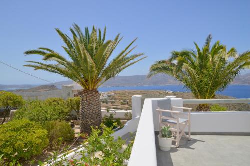 a view from the balcony of a villa with a palm tree at Chaido Studios in Plaka Milou