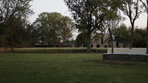Jardín al aire libre en Barabagh Deogarh - A Heritage Farm Stay