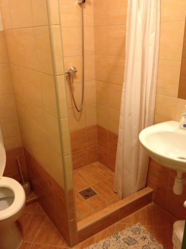 a bathroom with a shower with a toilet and a sink at Zátonyi Csárda Panzió in Dunasziget