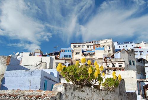 a group of white buildings with trees in front of them at Casa Mablu in Chefchaouen