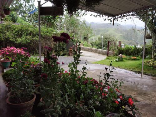 a garden with flowers and plants in pots at Rheinberg Town Haus in Munnar