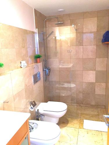 a bathroom with a toilet and a glass shower at On the beach in Corralejo
