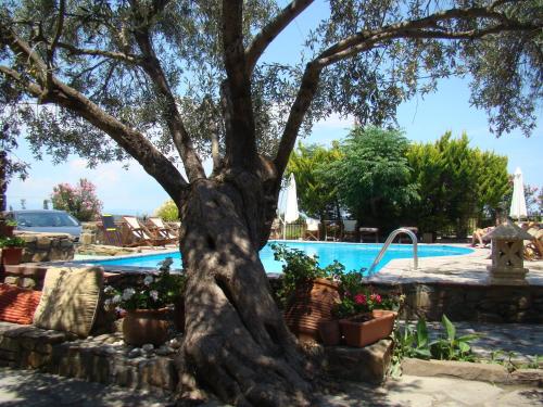 Gallery image of Vour 52 in Vourvourou