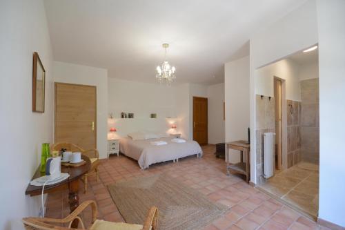 une chambre avec un lit et une salle de bain avec douche dans l'établissement Le Mas de Trévouse, à Saint-Saturnin-lès-Avignon