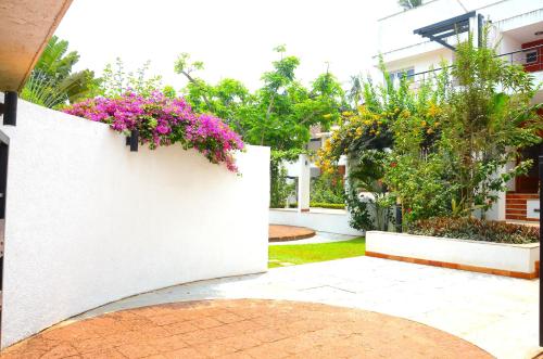 a garden with pink flowers on a white wall at Villa Samaara1 on Candolim Main Road pool facing in Candolim