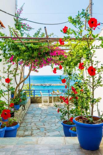 Gallery image of Pension Oniro in Votsi