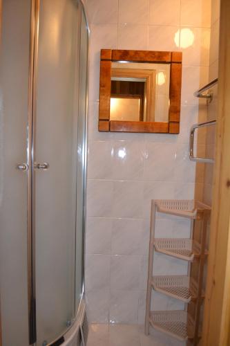 a shower with a mirror and a ladder in a bathroom at Kotedžas prie pušelių in Nida