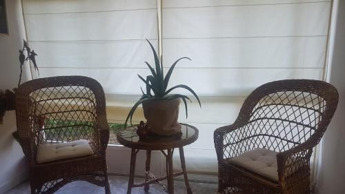 two chairs and a table with a potted plant on it at Casa de Labranza Naz in Sober