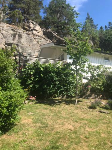 ein Haus auf einem Hügel mit einem Baum im Hof in der Unterkunft Lyckhus in Ljungskile