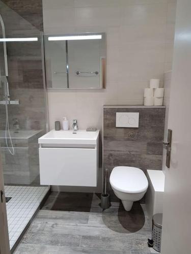 a bathroom with a toilet and a sink and a shower at Executive Studios near Basel in Saint-Louis