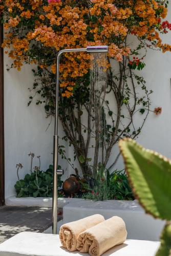 a towel sitting on a table in front of a tree at Hotel Boutique Palacio Ico - Only Adults in Teguise