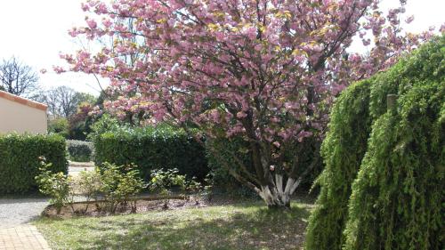 Photo de la galerie de l'établissement Le Clos Sainte Lea, à Mouilleron-le-Captif