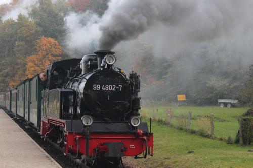 a steam train is coming down the tracks at Haus Feldmann in Ranzow