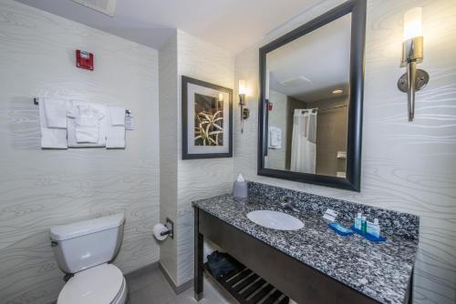 a bathroom with a sink and a toilet and a mirror at Holiday Inn Express & Suites Charleston Arpt-Conv Ctr Area by IHG in Charleston