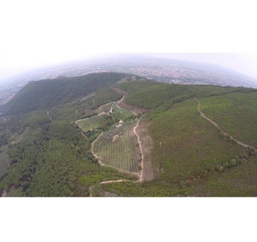 an aerial view of a dirt road on a mountain at Agriturismo Campo dei Lupi in Vicopisano