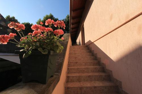 a staircase with flowers on the side of a building at Ariel apartmanok in Siófok