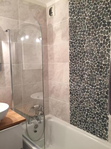 Un baño con ducha con puerta de cristal. en Chamois Blanc, en Chamonix-Mont-Blanc
