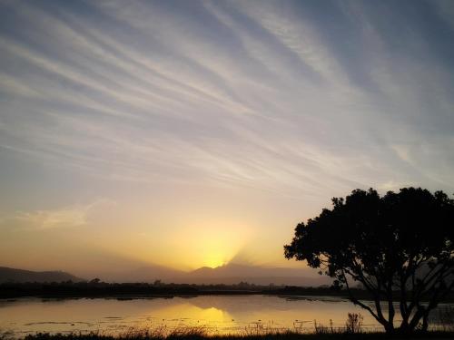a sunset over a river with a tree in the foreground at Beach you to it - Sedgefield in Sedgefield