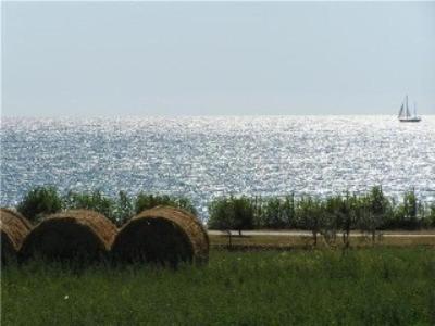 Gallery image of Casa Istriana in Novigrad Istria