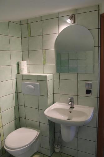 a bathroom with a toilet and a sink at Willa Anna in Karpacz