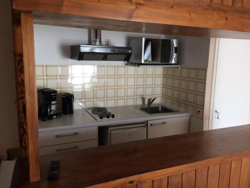 eine Küche mit einer Spüle und einer Mikrowelle in der Unterkunft Labronie in Sarlat-la-Canéda