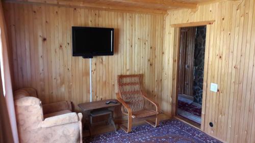 a room with a chair and a television on a wall at U Romana in Yaremche