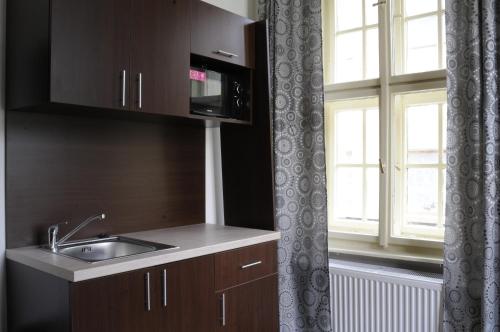 a kitchen with a sink and a window at Rabie Aparthotel in Prague