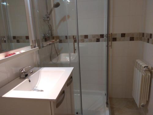 a bathroom with a shower and a sink and a shower at Caminito ARG in La Bañeza