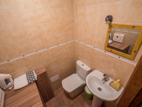 a small bathroom with a toilet and a sink at Casa Rural El Serrano in Prioro