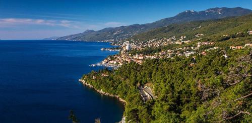 Studio Apartment Ines, Cozy, Stunning View, Parking, Pet Friendly