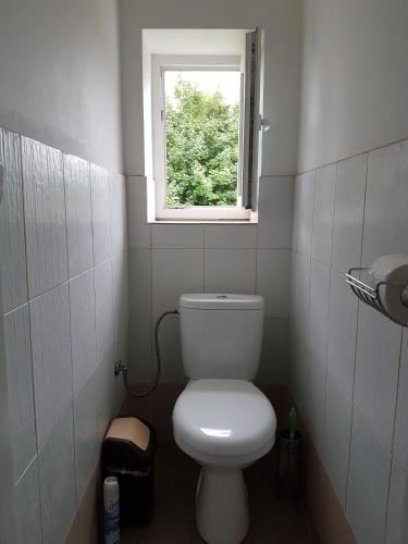 a small bathroom with a toilet and a window at Vila Valéria in Tatranská Lomnica