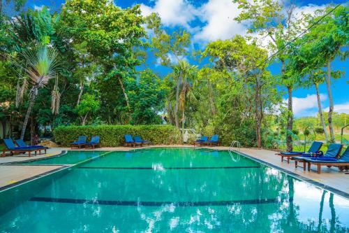 a swimming pool with blue chairs and trees at Pelwehera Village Resort in Dambulla