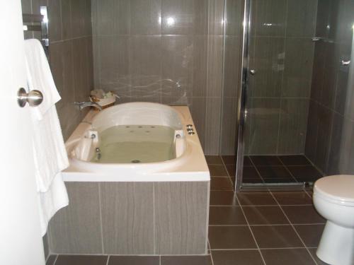 a bathroom with a shower and a sink and a toilet at Federation Motel Resort - Corowa in Corowa
