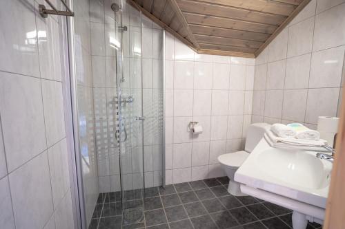 a bathroom with a shower and a toilet and a sink at Alten Lodge in Alta