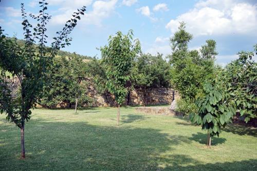Zahrada ubytování Tourist farm with Apartments Fig tree
