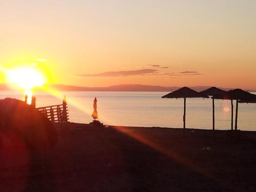Gallery image of Hotel White Rose Beach in Olympiaki Akti