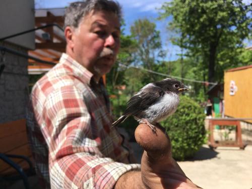 Φωτογραφία από το άλμπουμ του Villa Judita σε Moravany nad Váhom