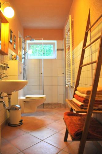 a bathroom with a shower and a sink and a toilet at Ferienhaus Namatiri in Putbus