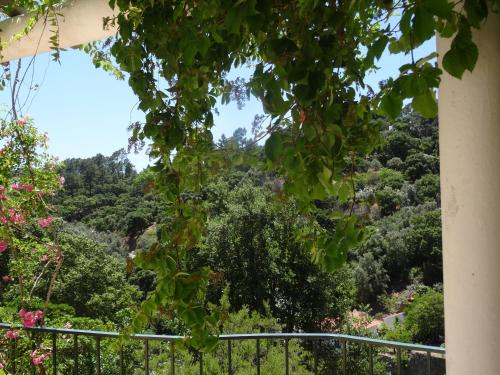 Φυσικό τοπίο κοντά σε αυτή η εξοχική κατοικία