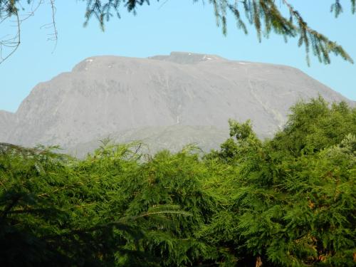 a mountain in the distance with trees in the foreground at TOM BEAG - Ben Nevis view ROOMS in Fort William