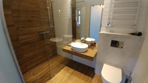 a bathroom with a toilet and a sink and a shower at 2/3 APARTMENTS Old Town in Wrocław
