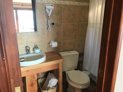 a bathroom with a toilet and a sink at Las Juntas Ecolodge in Puyehue